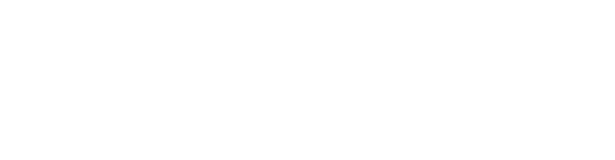 Microlins